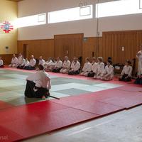 Internationales Aikido-Seminar in der Vereinshalle des TV Weißkirchen.
