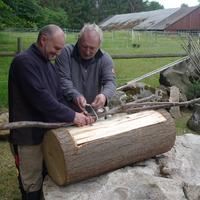 Experimentelle Archäologie: Vorbereitungen für Süppchen im Baumstamm